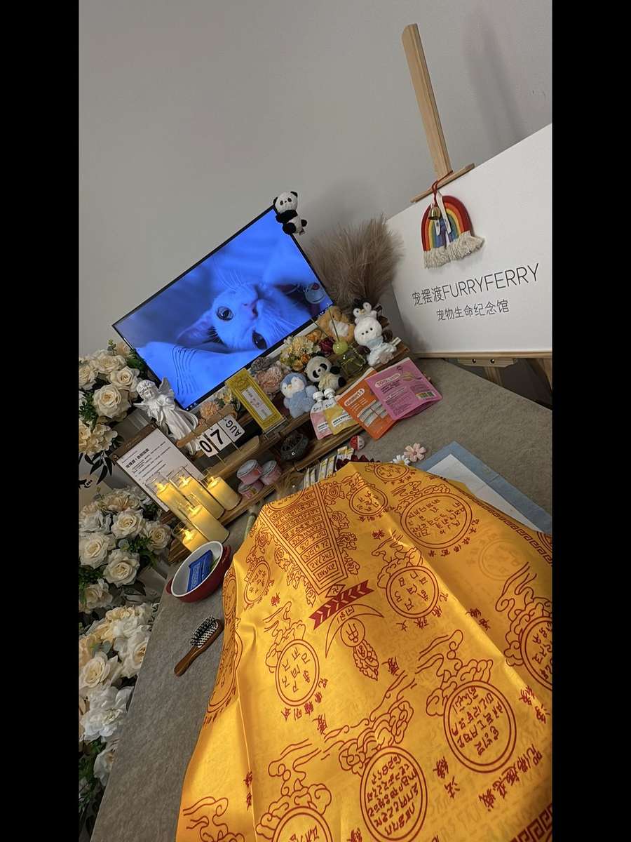 福州宠物告别厅